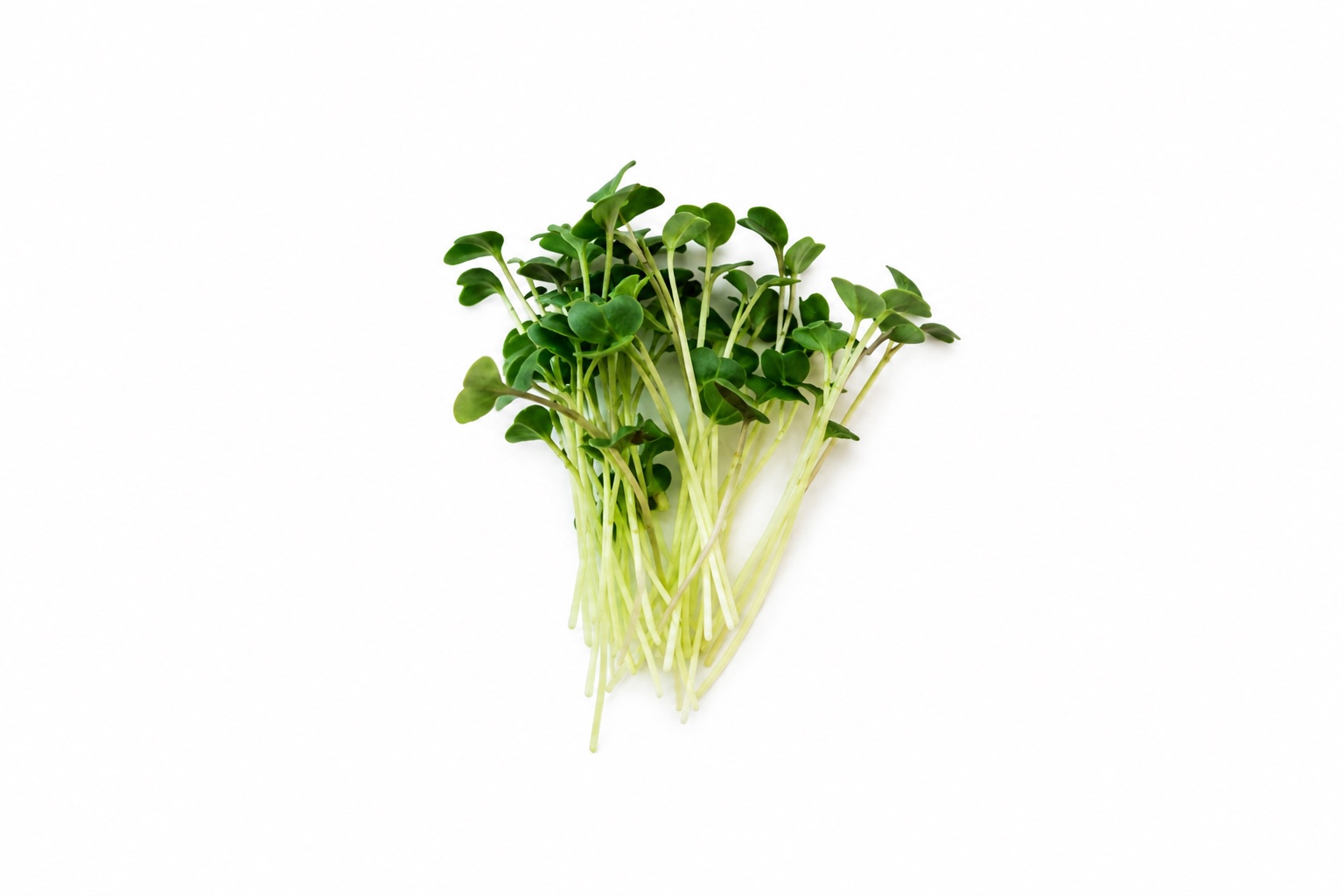 Tuscan Kale product